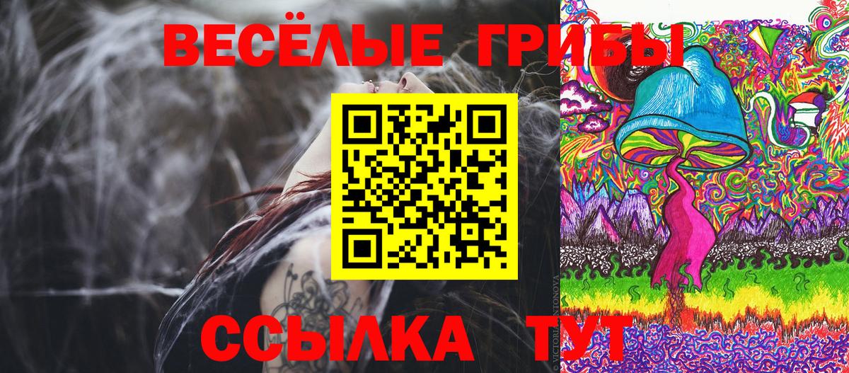 Псилоцибиновые грибы MAGIC MUSHROOMS Северобайкальск
